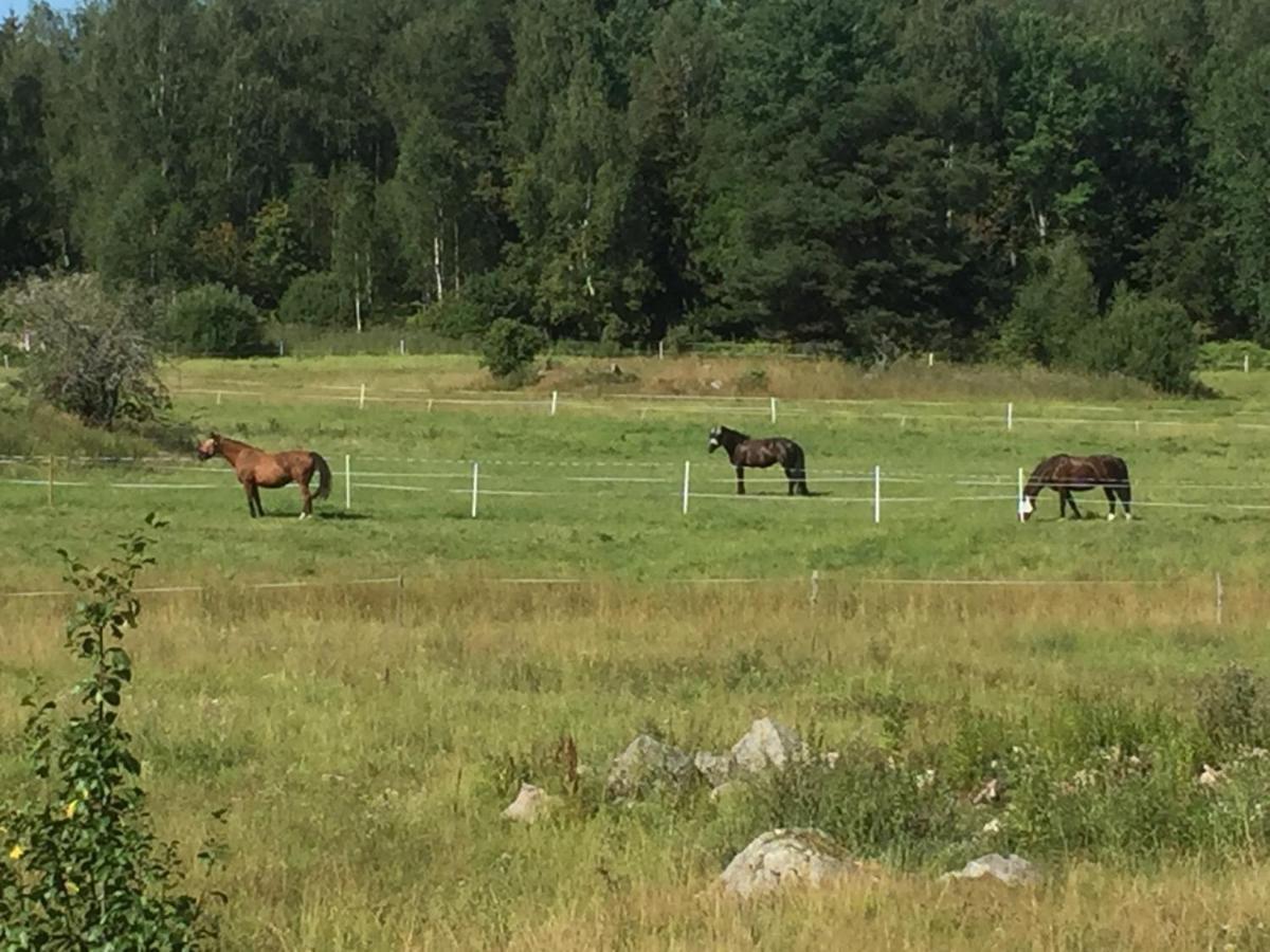Villa Egen Laegenhet I 2-Familjshus Pa Landet. à Tierp Extérieur photo